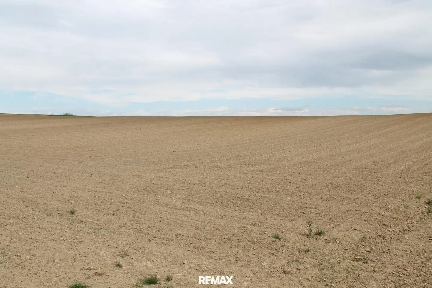 Arable farming or viticulture