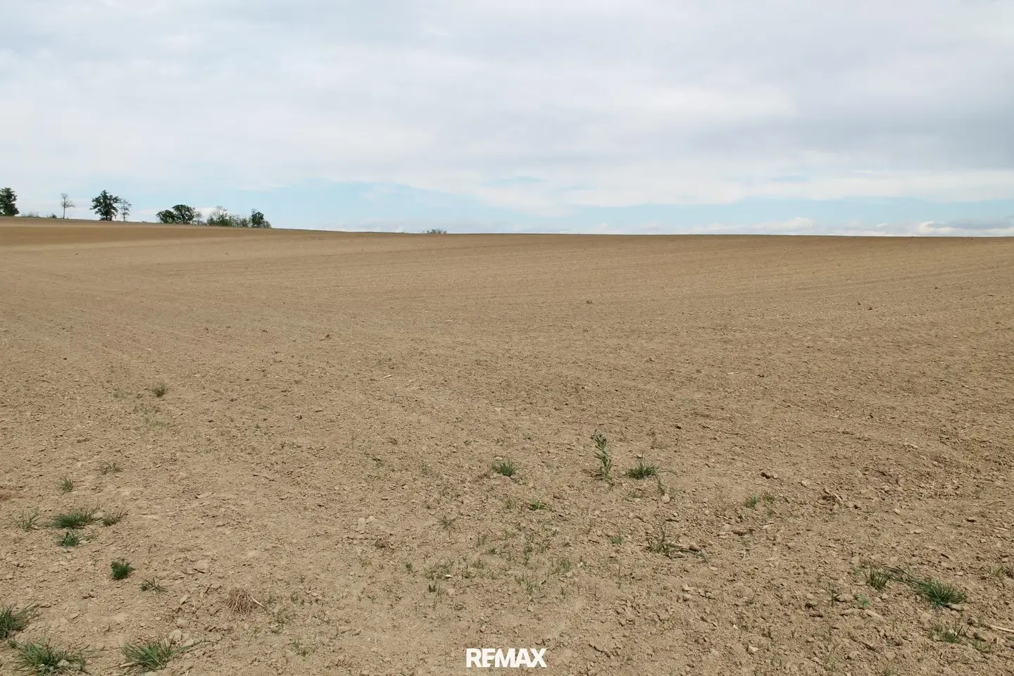 Arable farming or viticulture