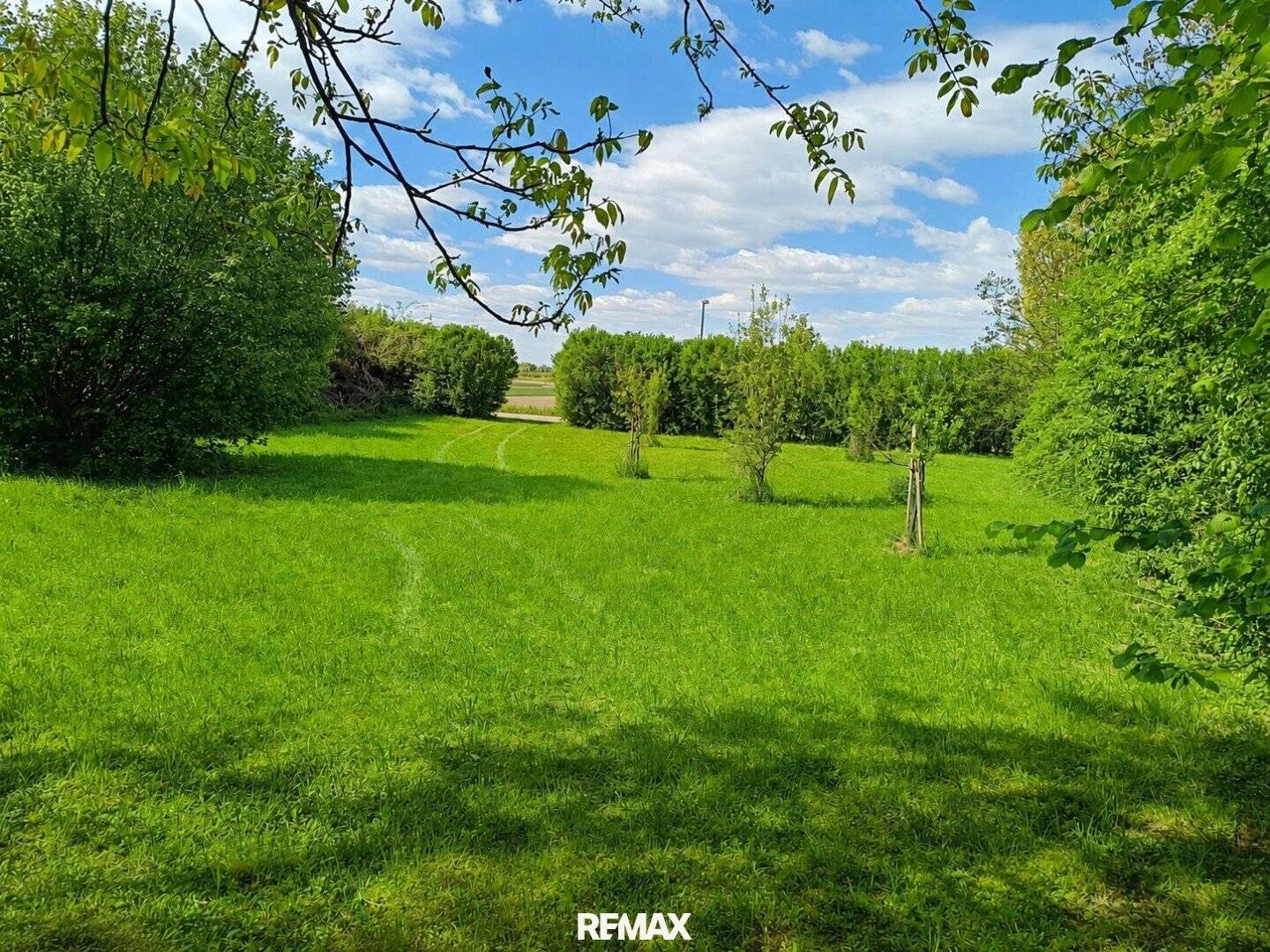 Spacious building plot with plenty of privacy – 1,935 m² near Tulln