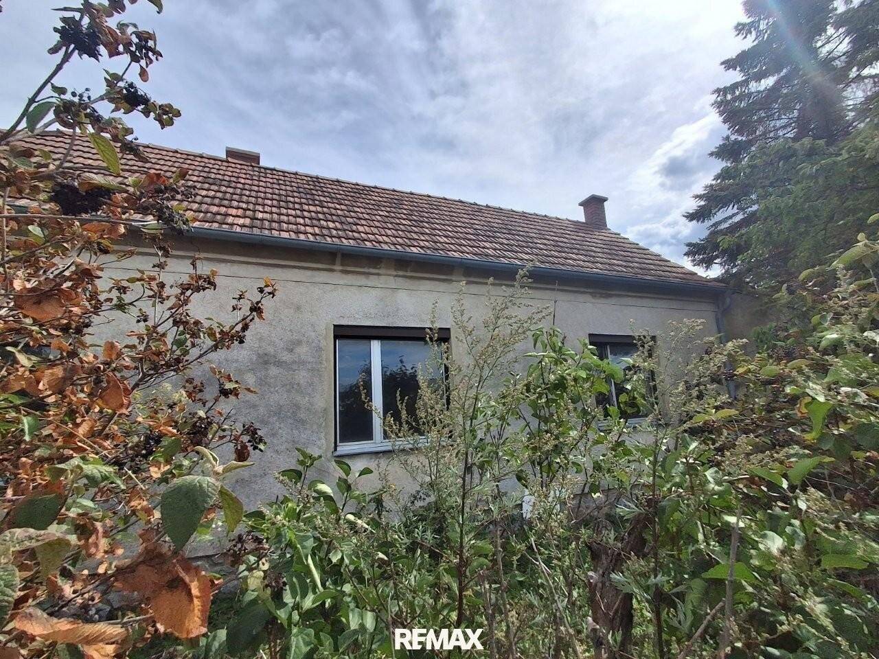 ,,Kleines Haus und großer Obstgarten in Hornstein!"