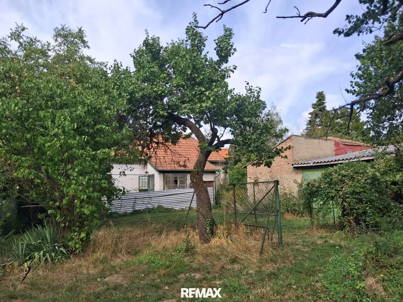 Building land and large orchard property in Hornstein near Neufeldersee