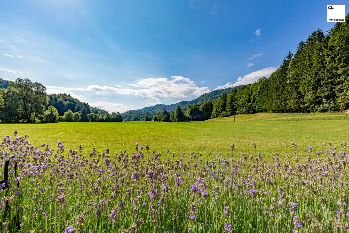Exclusive Retreat in Fuschl am See Absolute Quiet Location