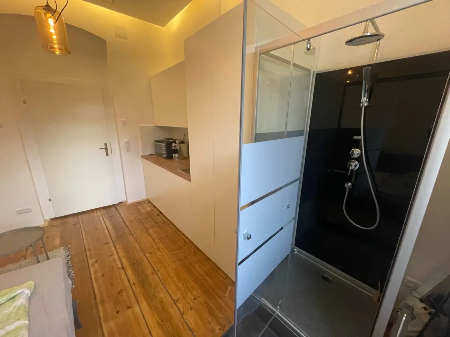 Renovated, fully furnished 1-room apartment in Kindermanngasse