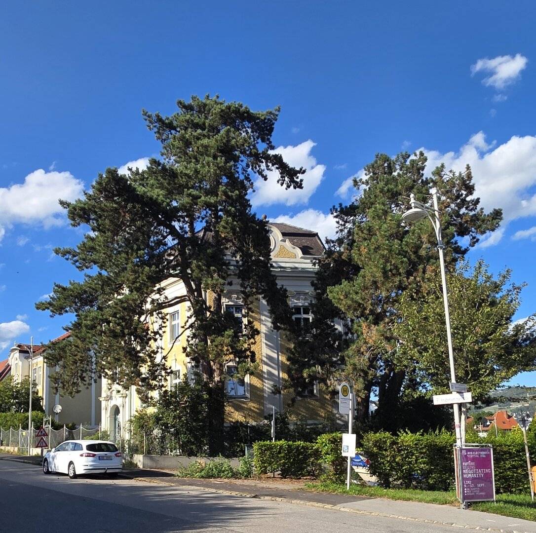Representative turn-of-the-century villa in prime location at Linz Auberg / Karlhofsiedlung with outstanding development potential