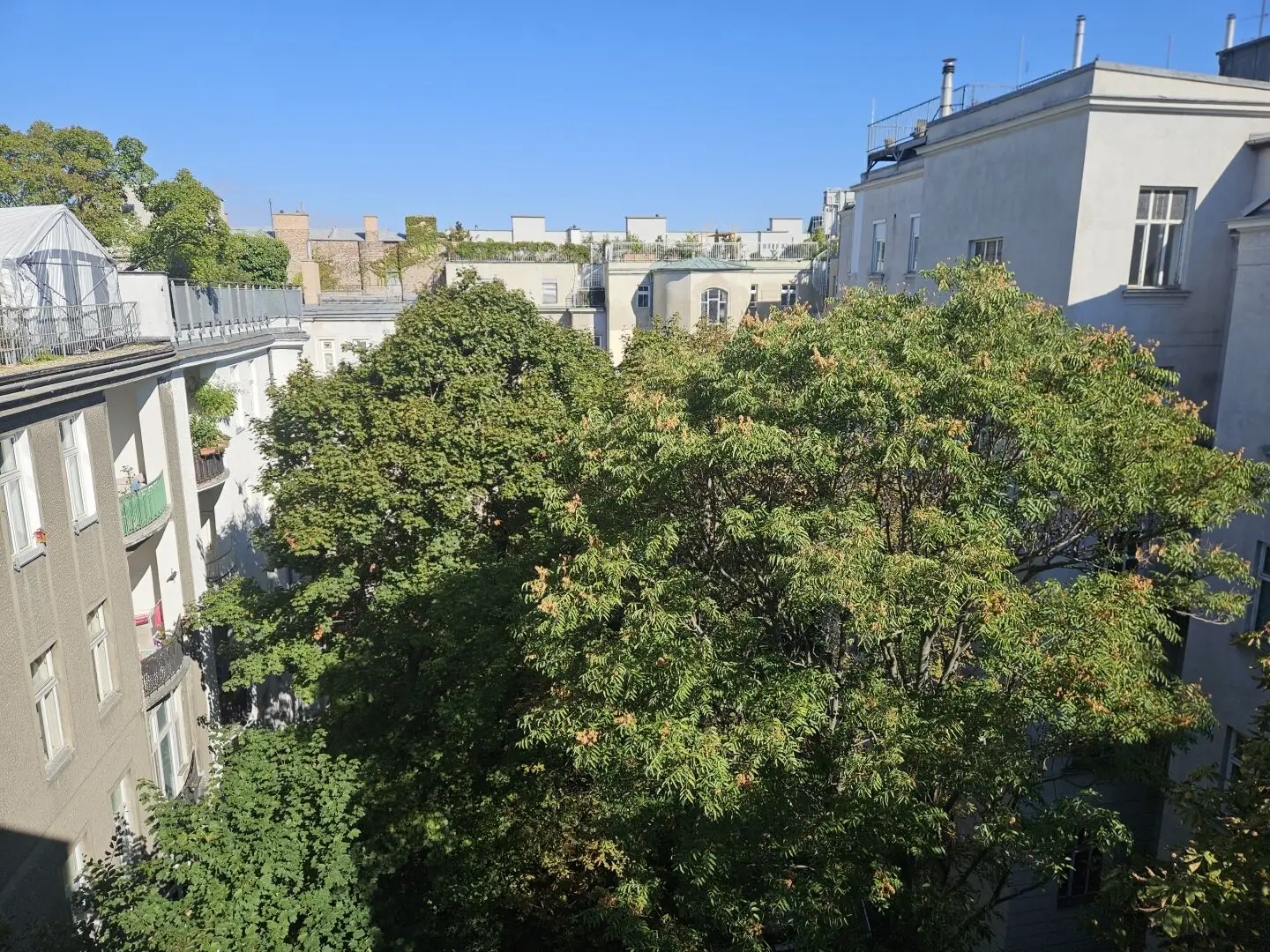 Small atelier with living accommodation in Art Nouveau building