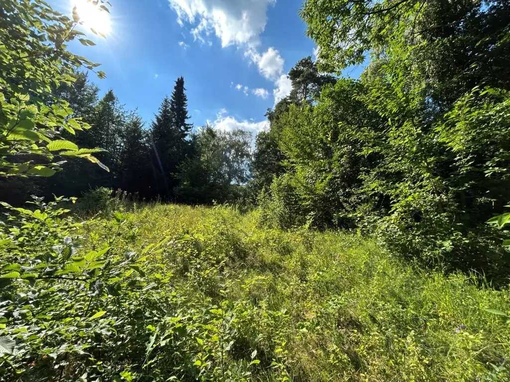 Baugrundstück mit Waldfläche und Abbruchobjekt in Altlengbach