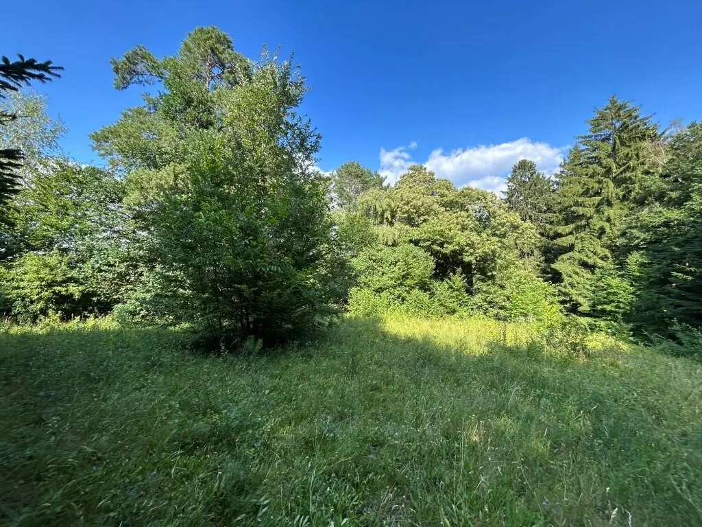 Baugrundstück mit Waldfläche und Abbruchobjekt in Altlengbach