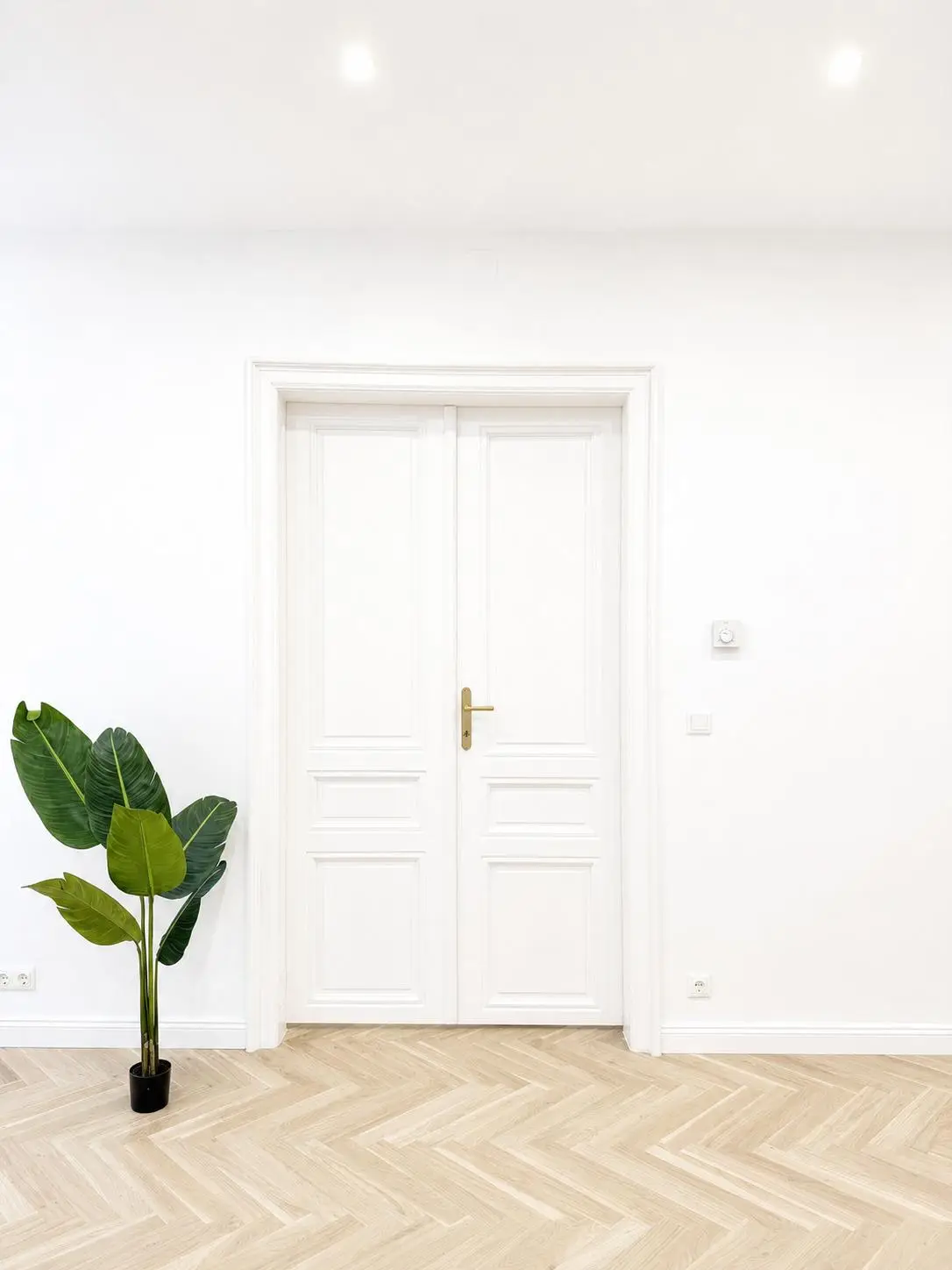 Kernsanierte Altbauwohnung mit Fischgrätparkett und Lift