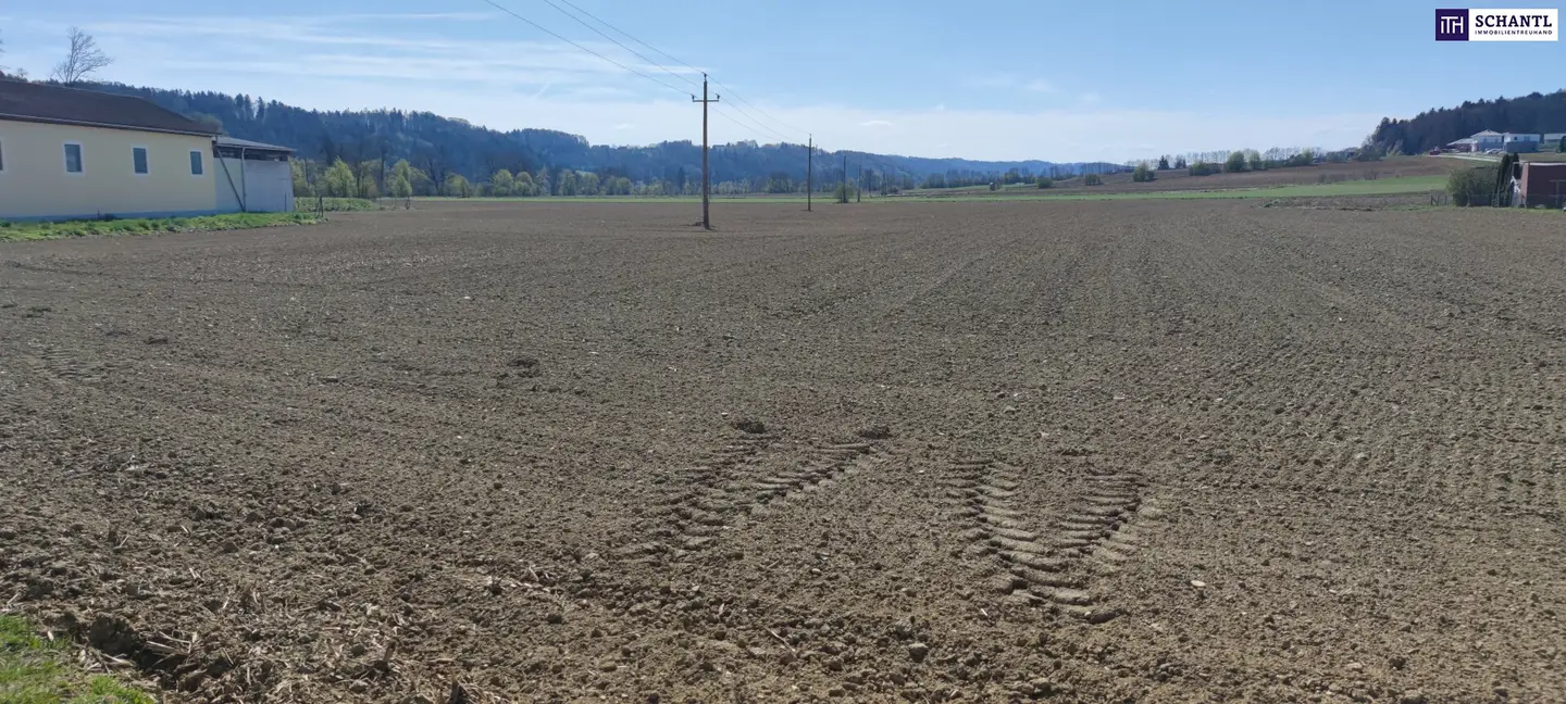 Commercial plot approx. 20,000 m² in the greater area of GRAZ and LEIBNITZ Perfect conditions for company settlement given BD 0.2 - 0.6
