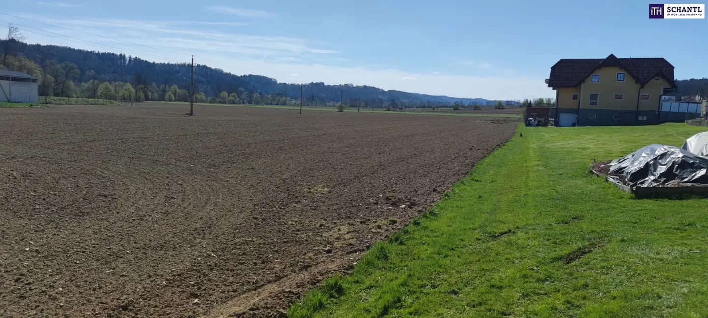 Commercial plot approx. 20,000 m² in the greater area of GRAZ and LEIBNITZ Perfect conditions for company settlement given BD 0.2 - 0.6