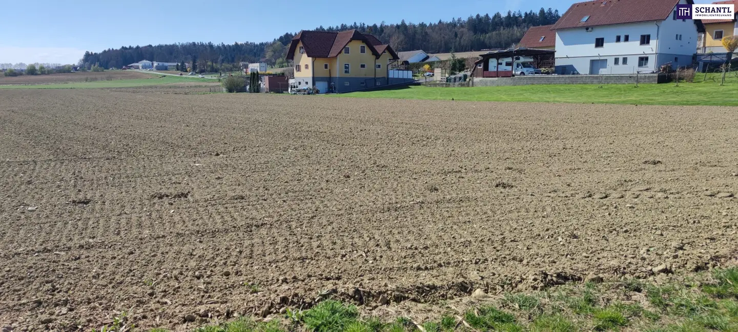 Commercial plot approx. 20,000 m² in the greater area of GRAZ and LEIBNITZ Perfect conditions for company settlement given BD 0.2 - 0.6