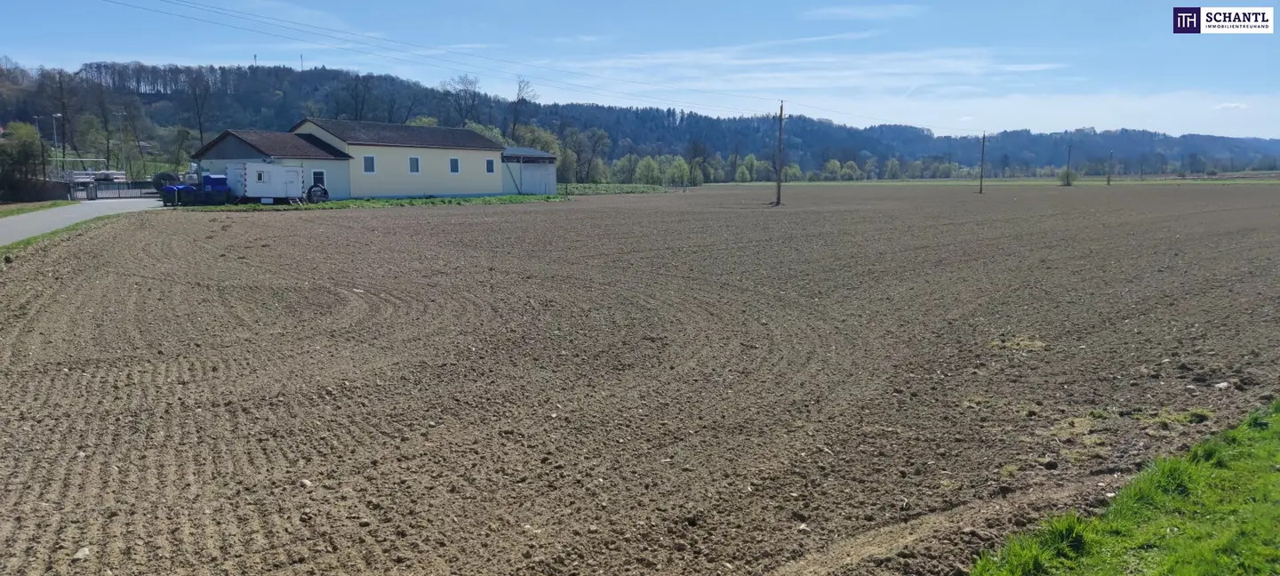 Commercial plot approx. 20,000 m² in the greater area of GRAZ and LEIBNITZ Perfect conditions for company settlement given BD 0.2 - 0.6