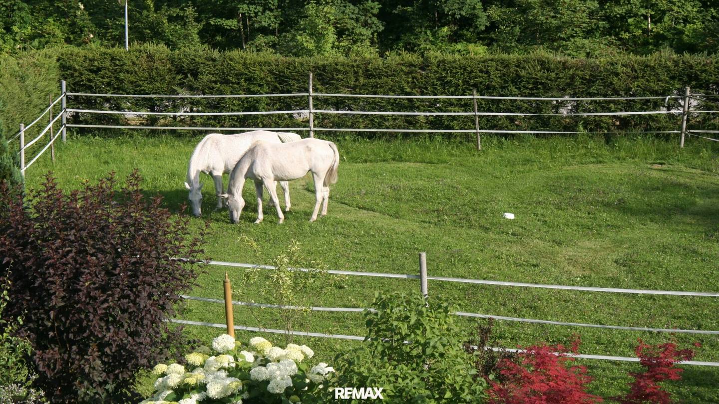 A home for people, animals and nature – where love of horses meets quality of life