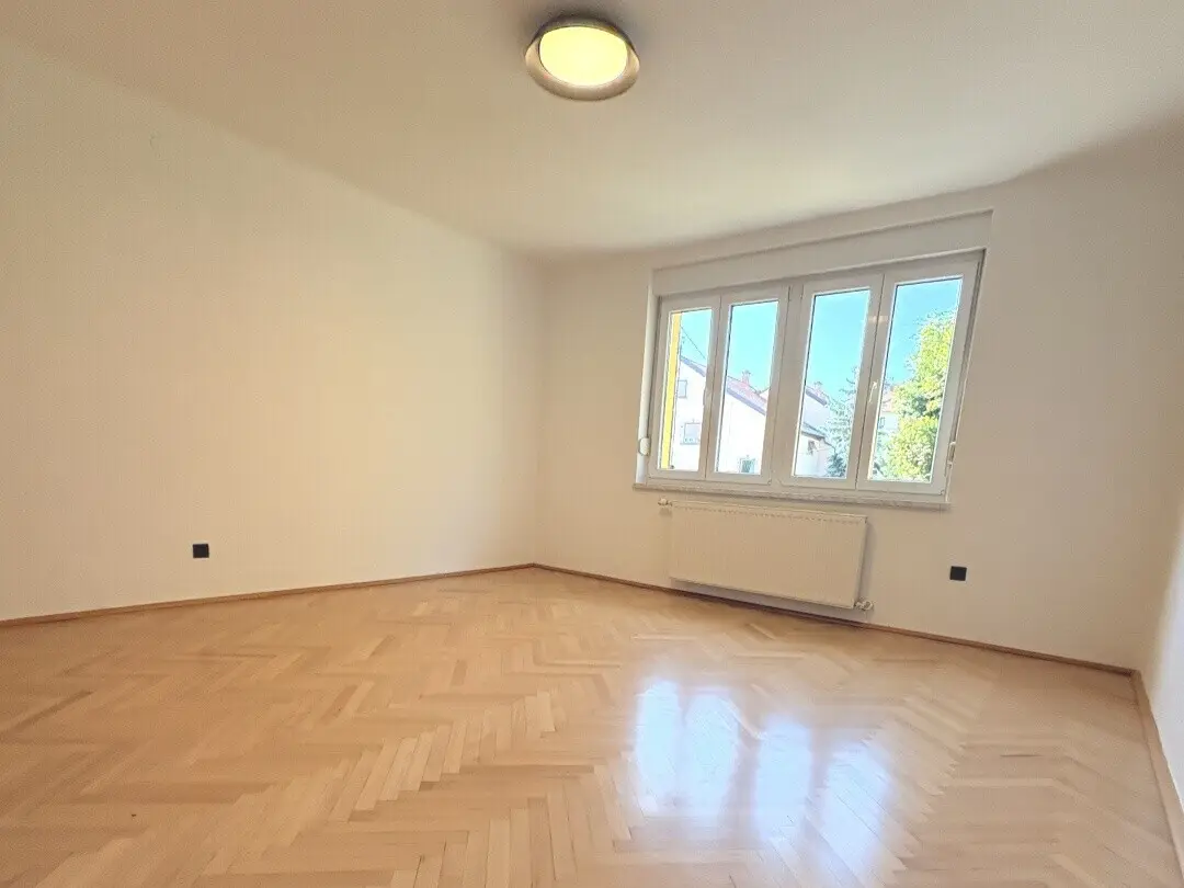 Newly renovated apartment with cellar