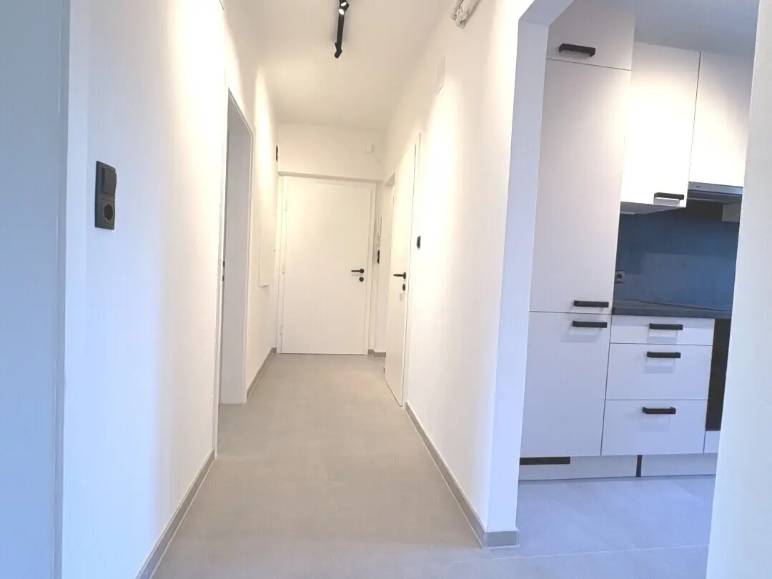 Newly renovated apartment with cellar
