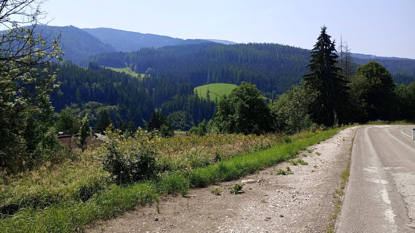 Large Agricultural and Forestry Plot in Steinhaus am Semmering – only 20,500 €