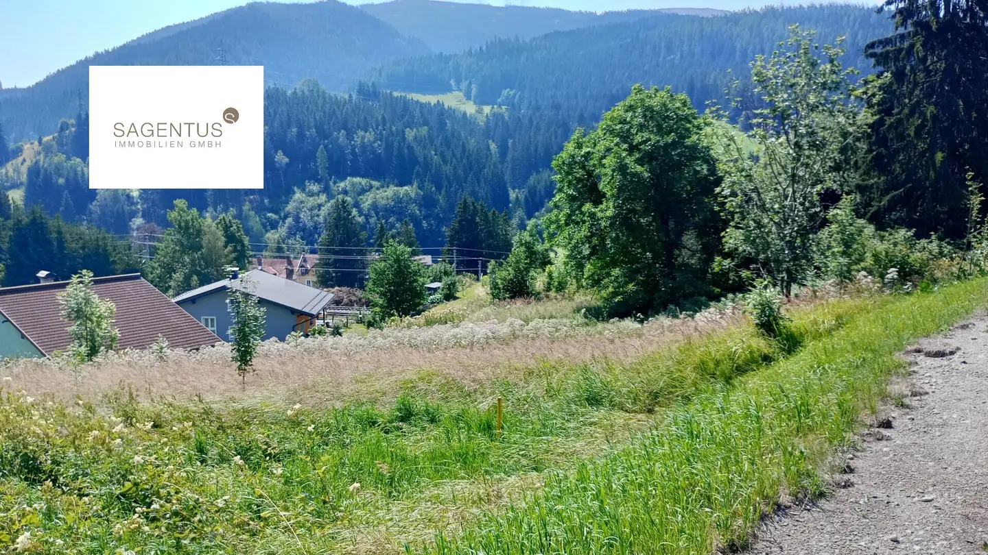 Large Agricultural and Forestry Plot in Steinhaus am Semmering – only 20,500 €