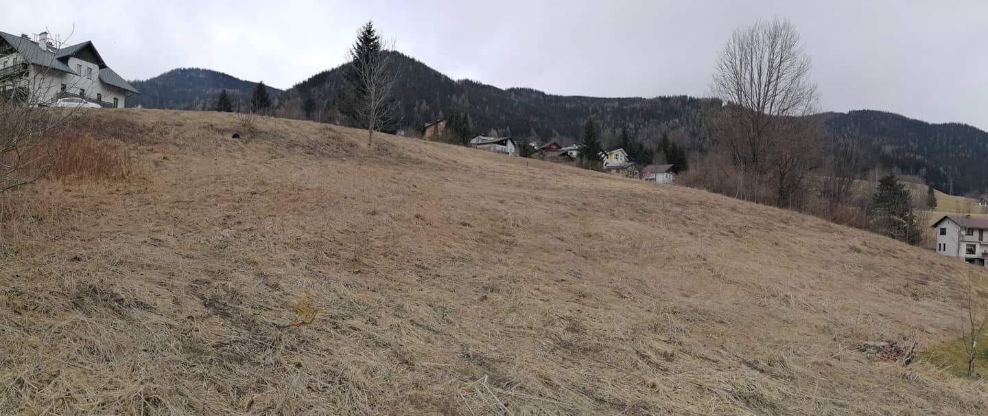 Large Agricultural and Forestry Plot in Steinhaus am Semmering – only 20,500 €
