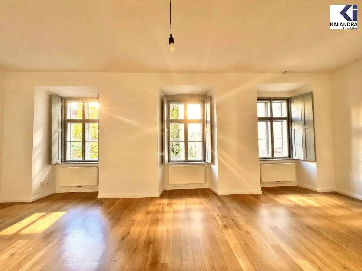 Completely renovated old building apartment in baroque house