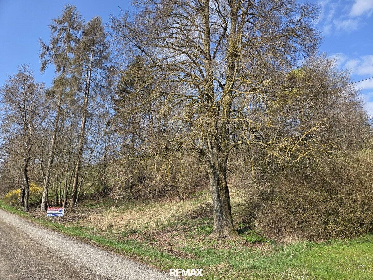 Unobstructed distant view! 1,531 m² hillside building plot WITHOUT building obligation and WITHOUT development plan in scattered settlement in the countryside