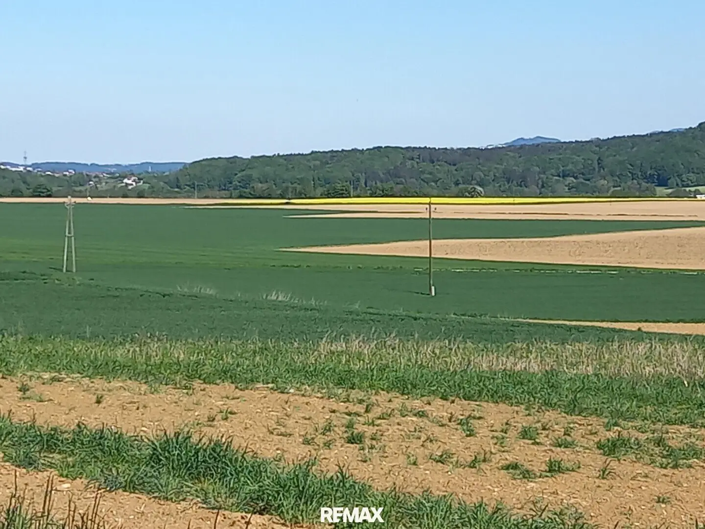 Unverbaubare Fernsicht! 1.531 m² großes Hang-Baugrundstück OHNE Bauzwang und OHNE Bebauungsplan in Steusiedlung am Land!