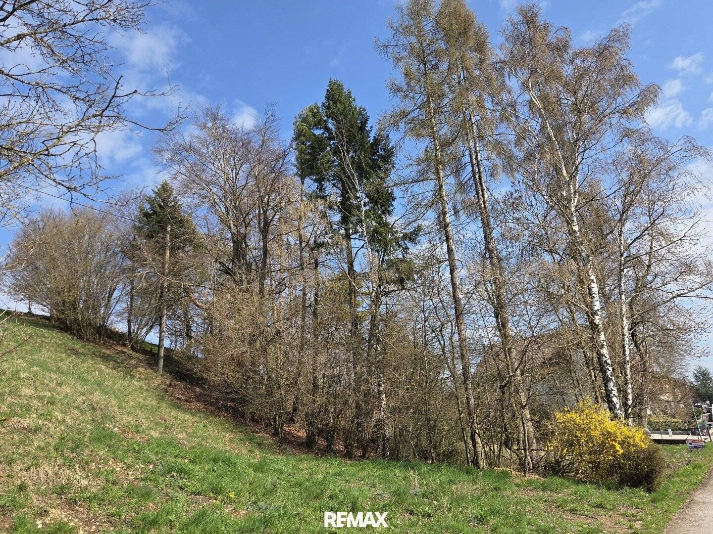 Unobstructed distant view! 1,531 m² hillside building plot WITHOUT building obligation and WITHOUT development plan in scattered settlement in the countryside