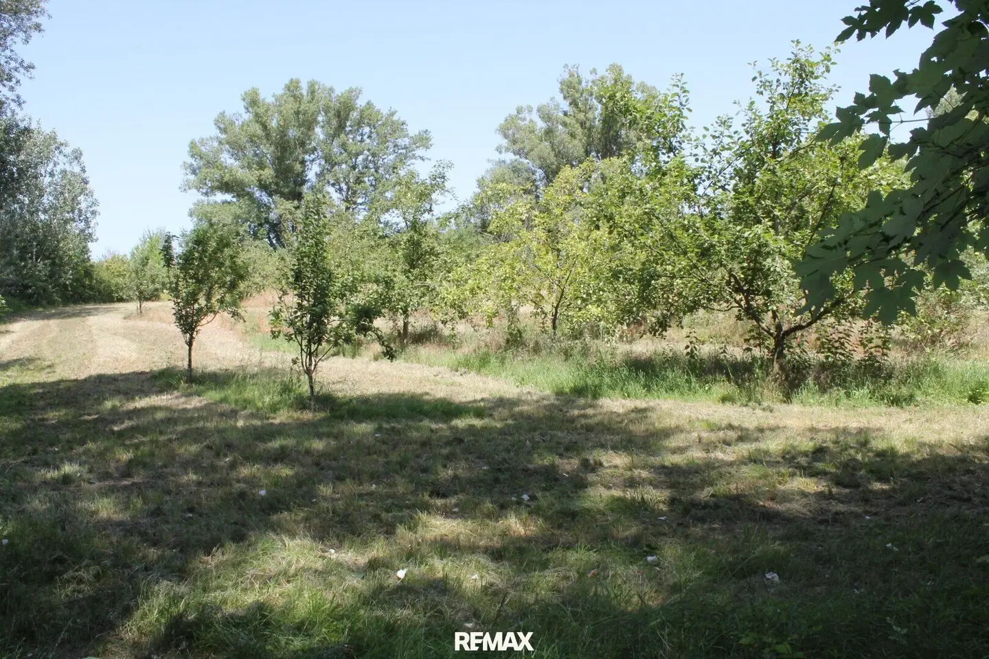 Building land special zone for gastronomy or leisure