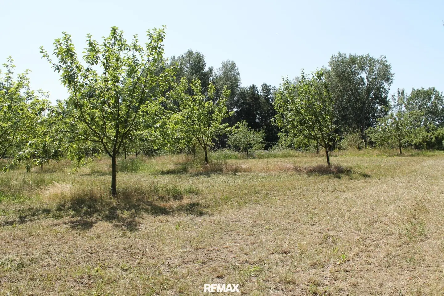 Building land special zone for gastronomy or leisure