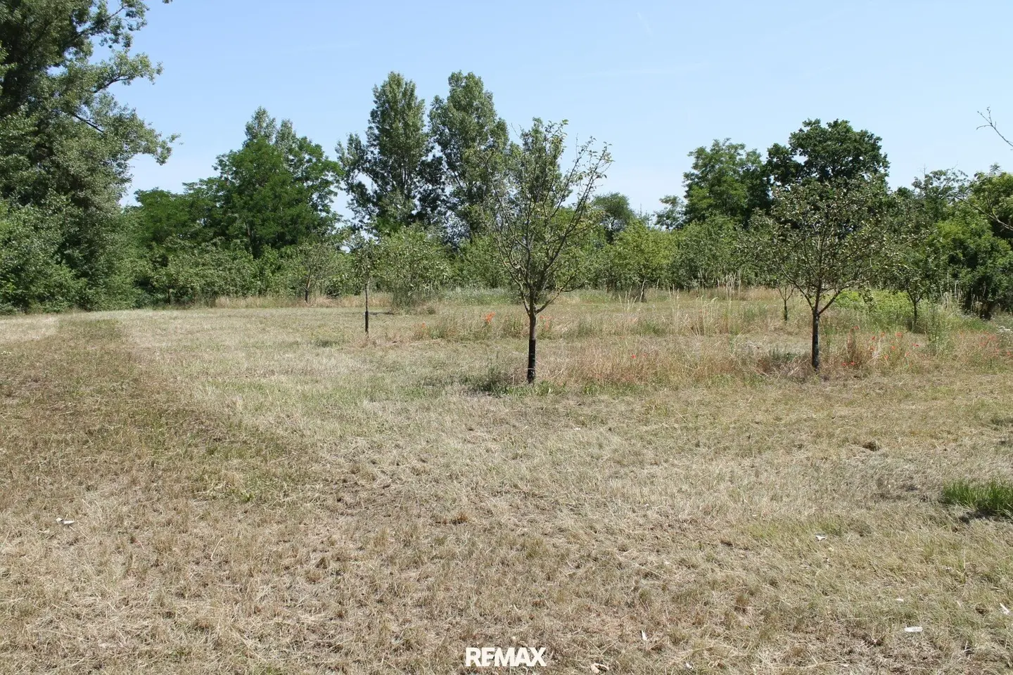 Building land special zone for gastronomy or leisure