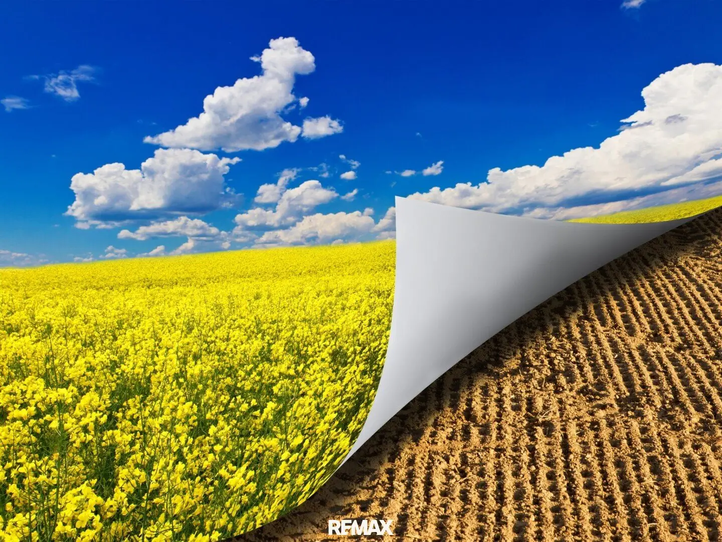 Organic Farming