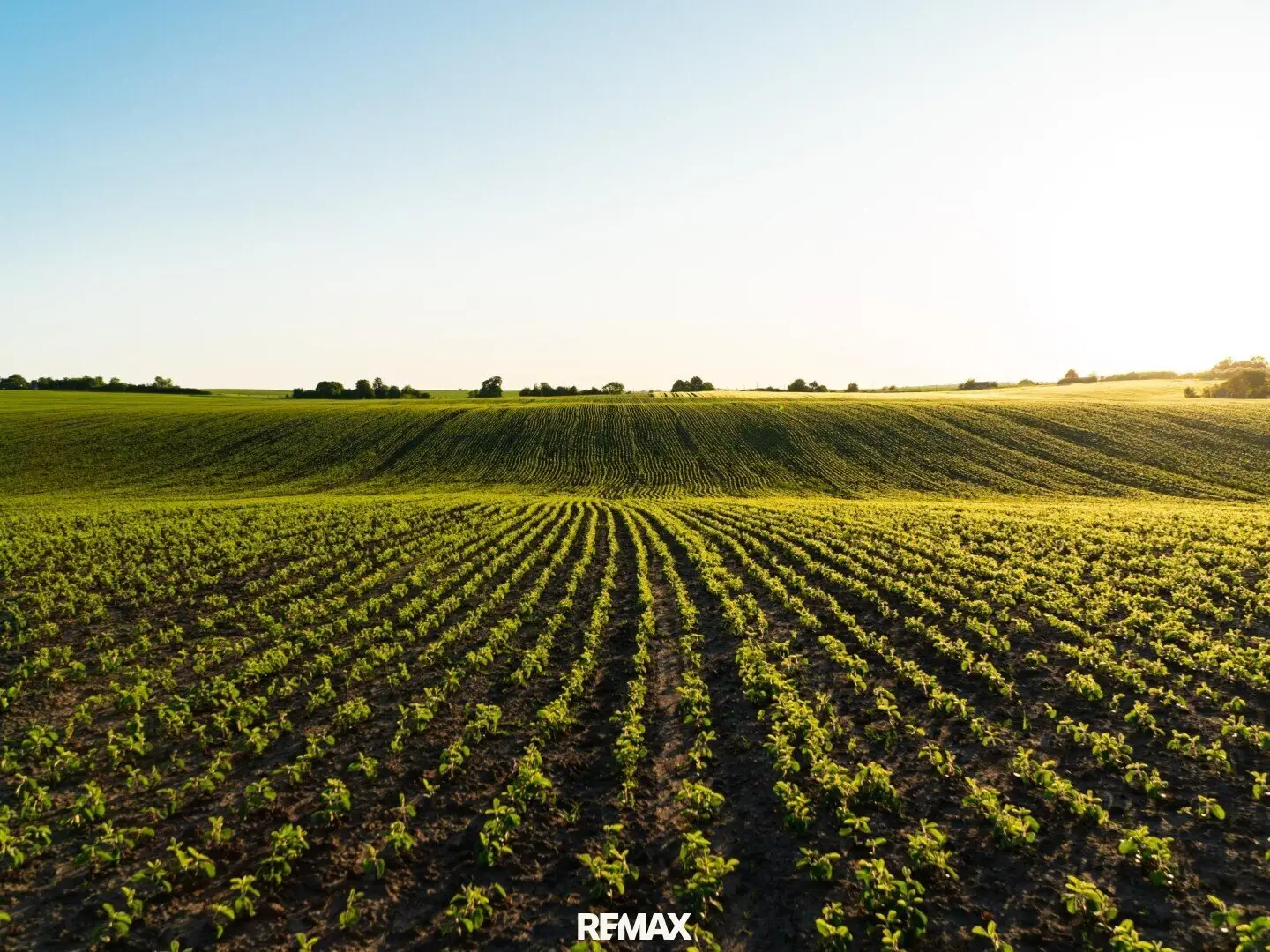Organic Agriculture!