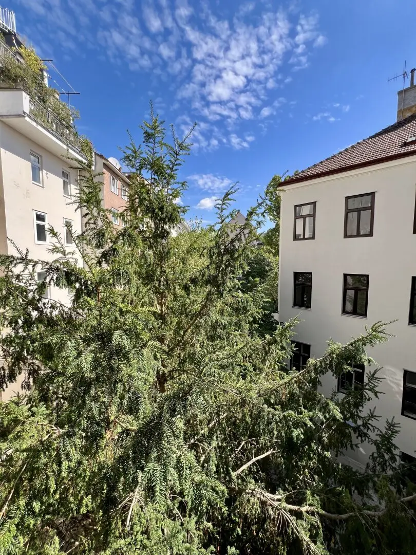 Immobilienbild 4