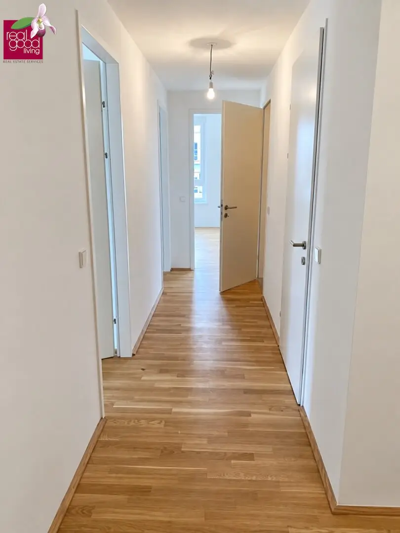 Immobilienbild 3