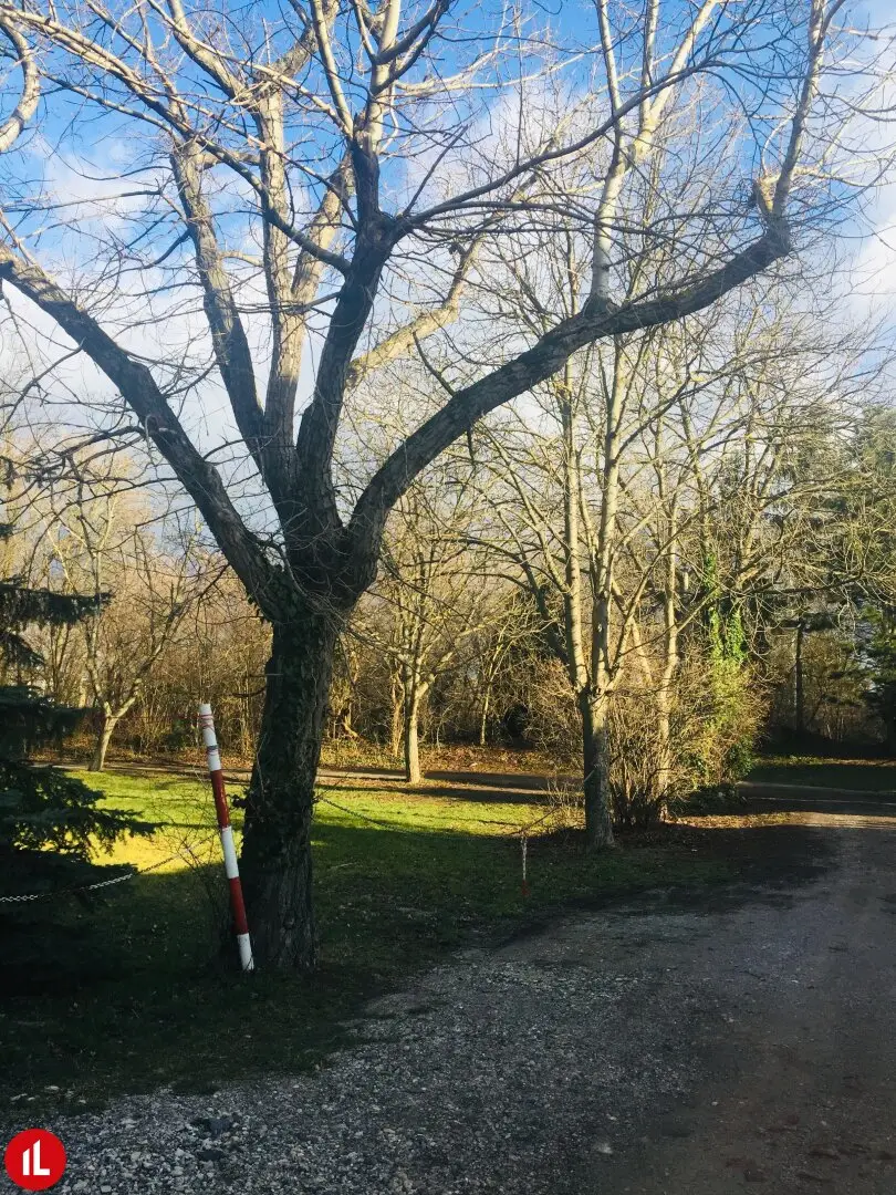 Schwechat - Rannersdorf: quiet rental apartment