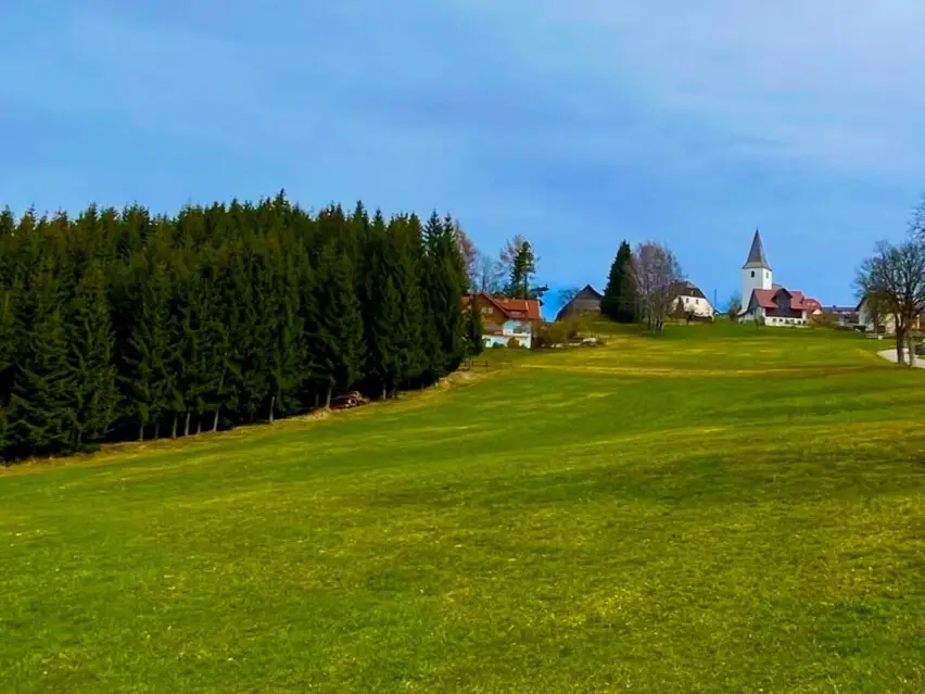 Naturnahes Grundstück mit Almcharakter Wohnung