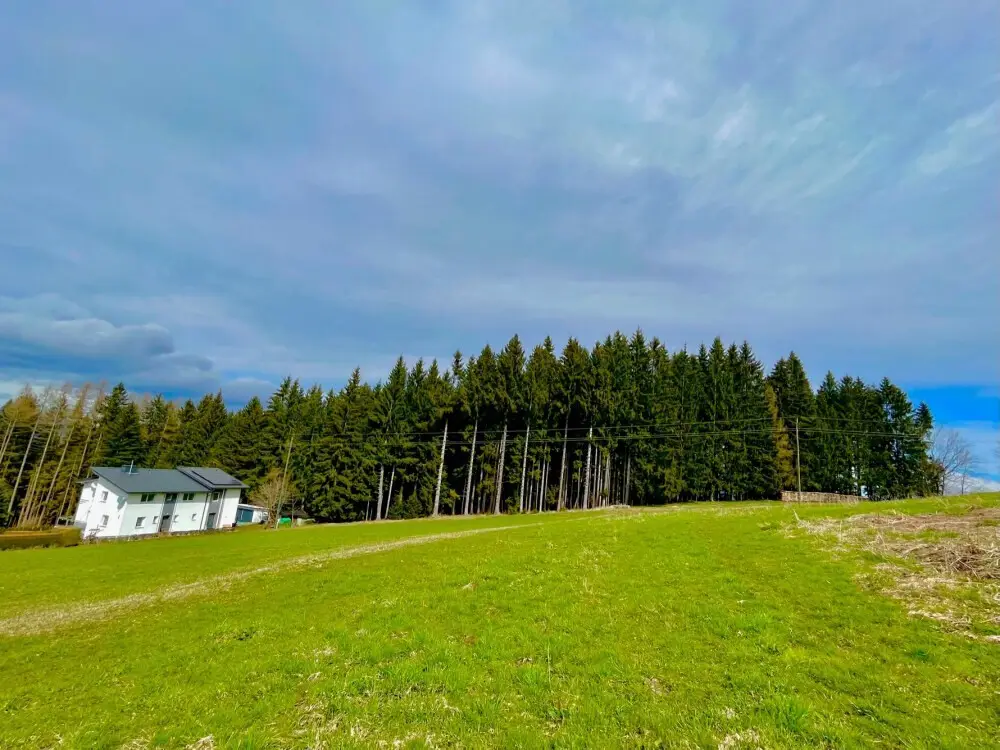 Wohnung in naturnaher Lage mit Almcharakter