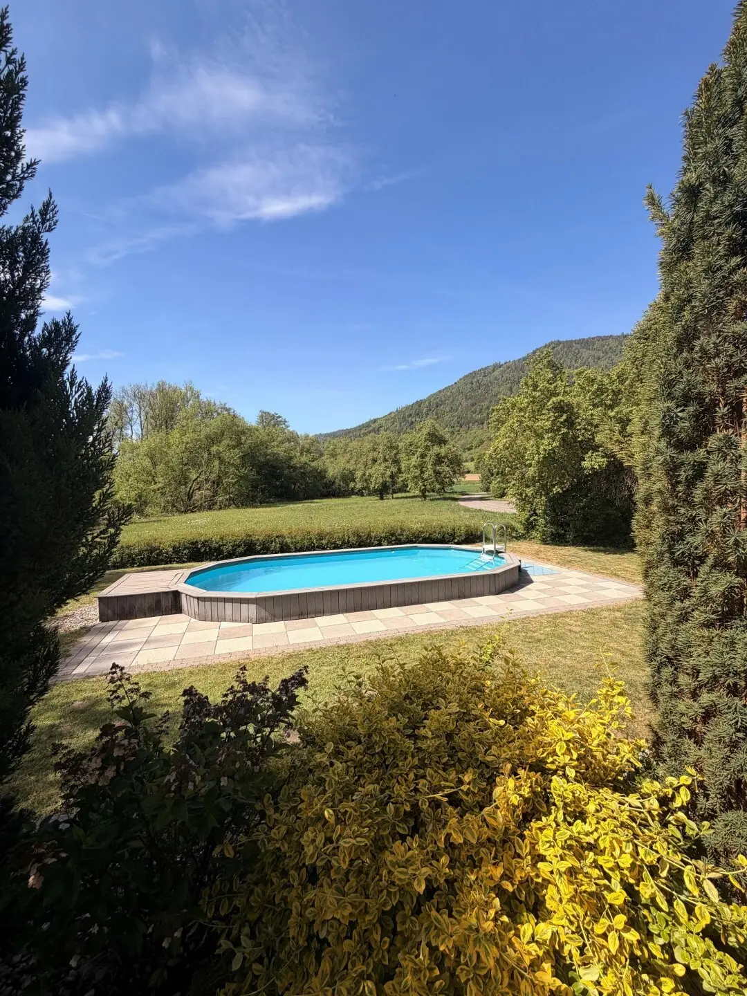 Spacious apartment in green surroundings with pool