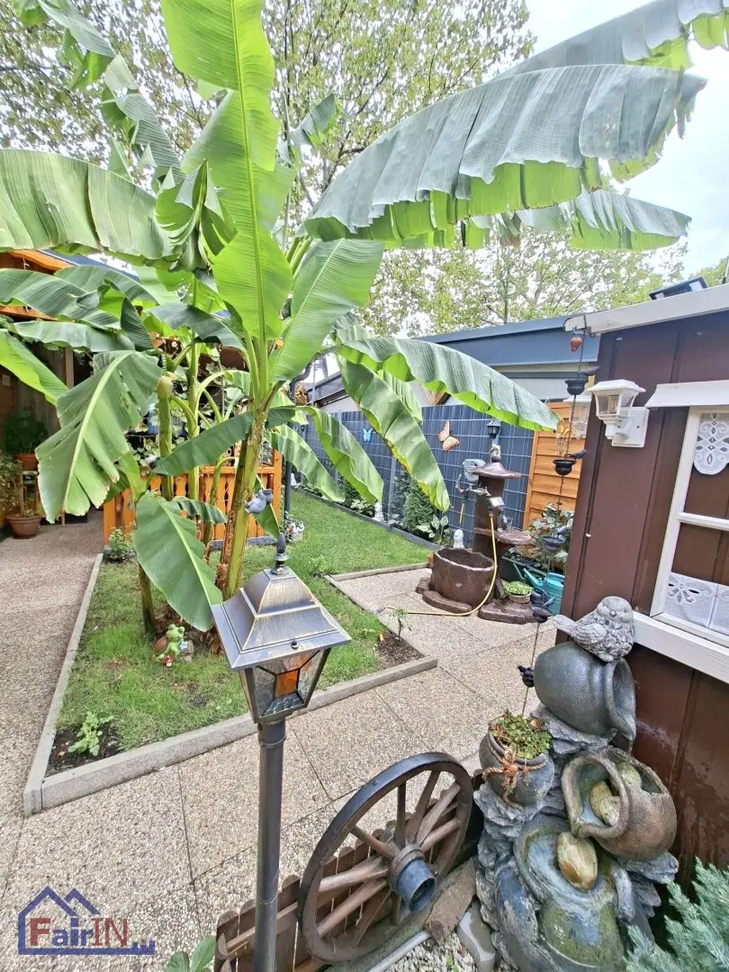 LEASE Charming holiday home in Andau, 3 rooms, terrace