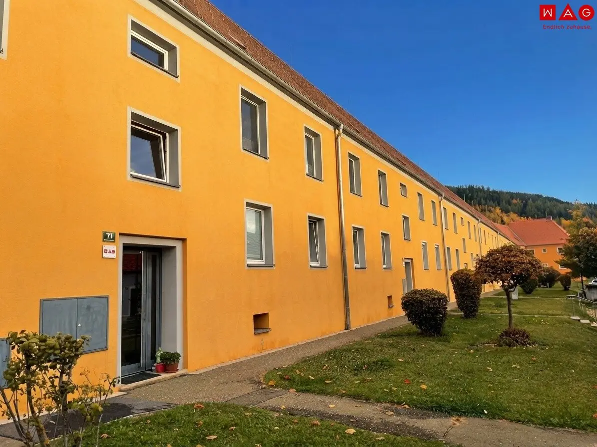 Helle, renovierte und ruhige Wohnung in der Auerlingstraße 73/4 - PROVISIONSFREI