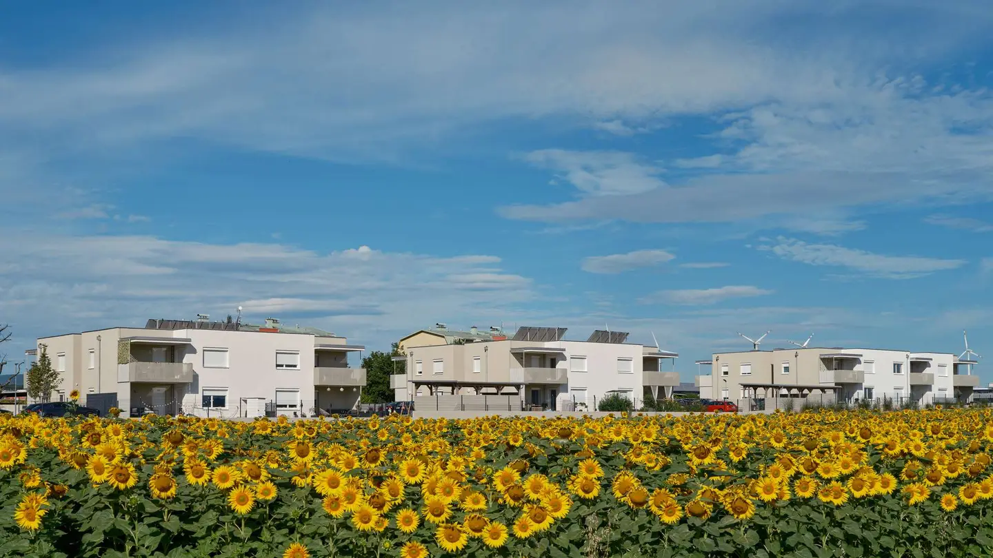 Neuwertige Wohnung mit Privatgarten und sonnigen Räumen