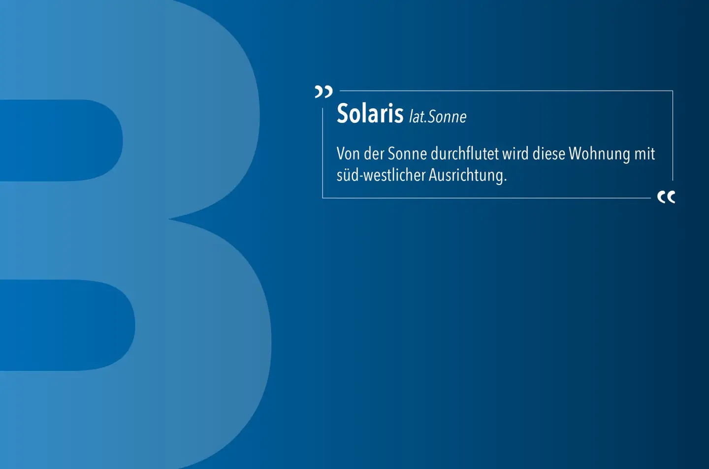 Solaris | Kitchen + Terrace + Sauna