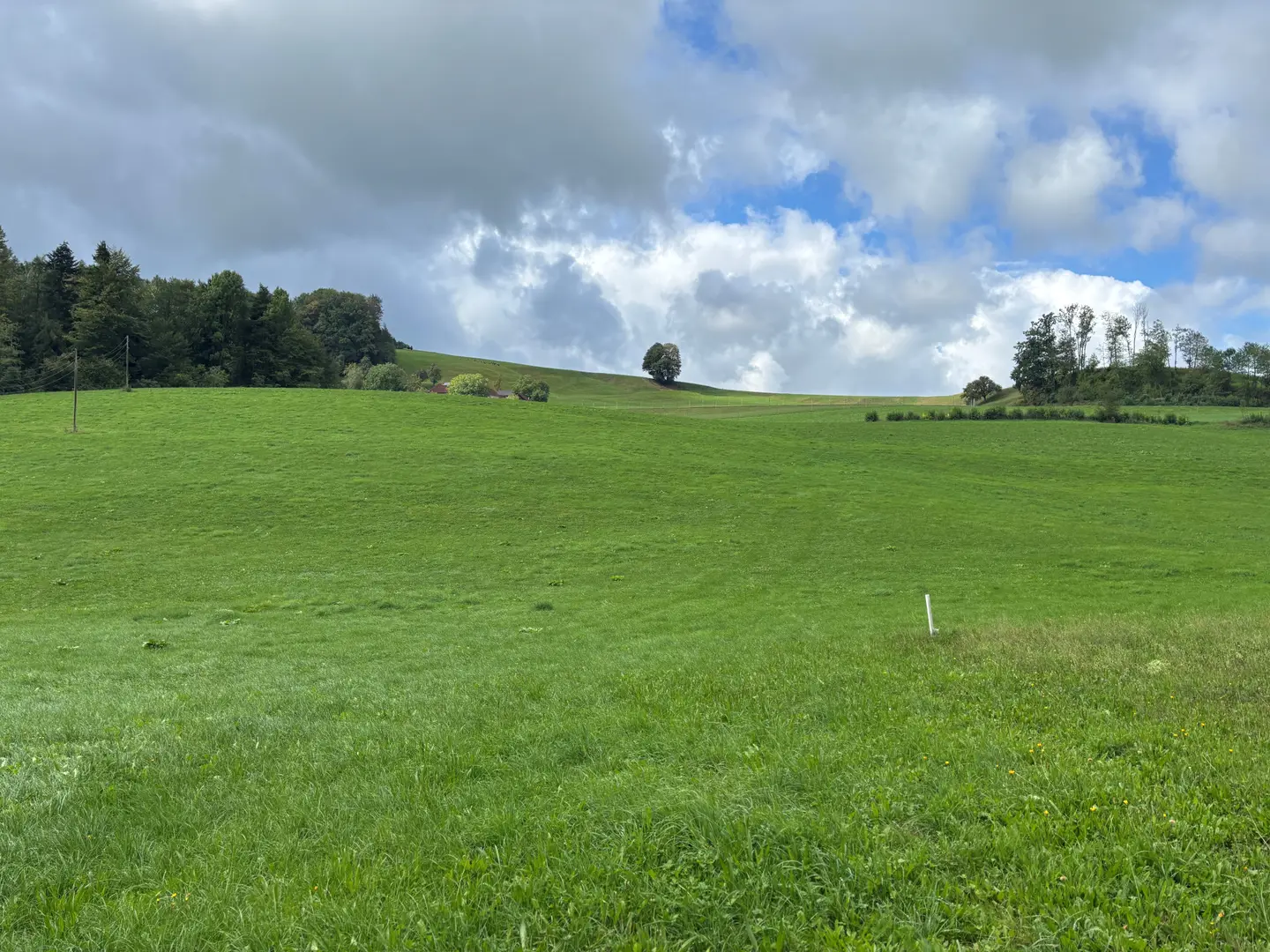 Weitläufige landwirtschaftliche Fläche in leichter Hanglage Wohnung
