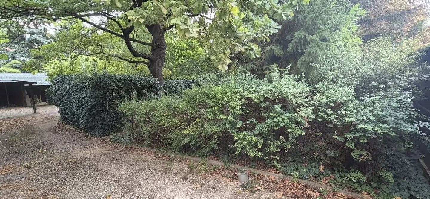 Baugrund in zentraler Lage von Langenzersdorf