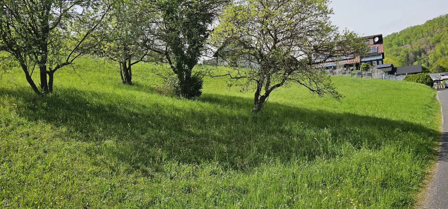 10 min from Graz - spacious sunny plot on a slight hillside (1617 m², 820 m² and 797 m²)