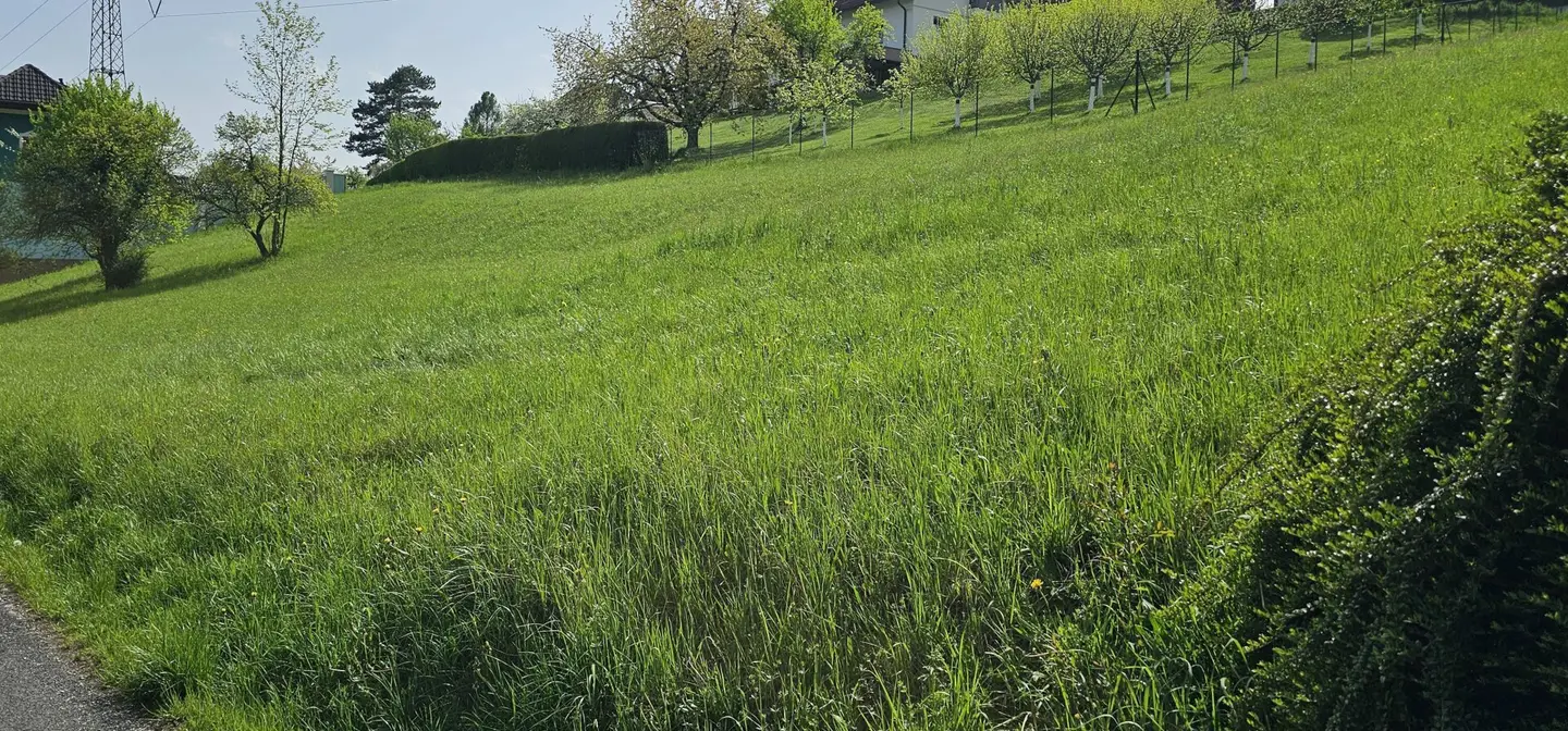10 min from Graz - spacious sunny plot on a slight hillside (1617 m², 820 m² and 797 m²)