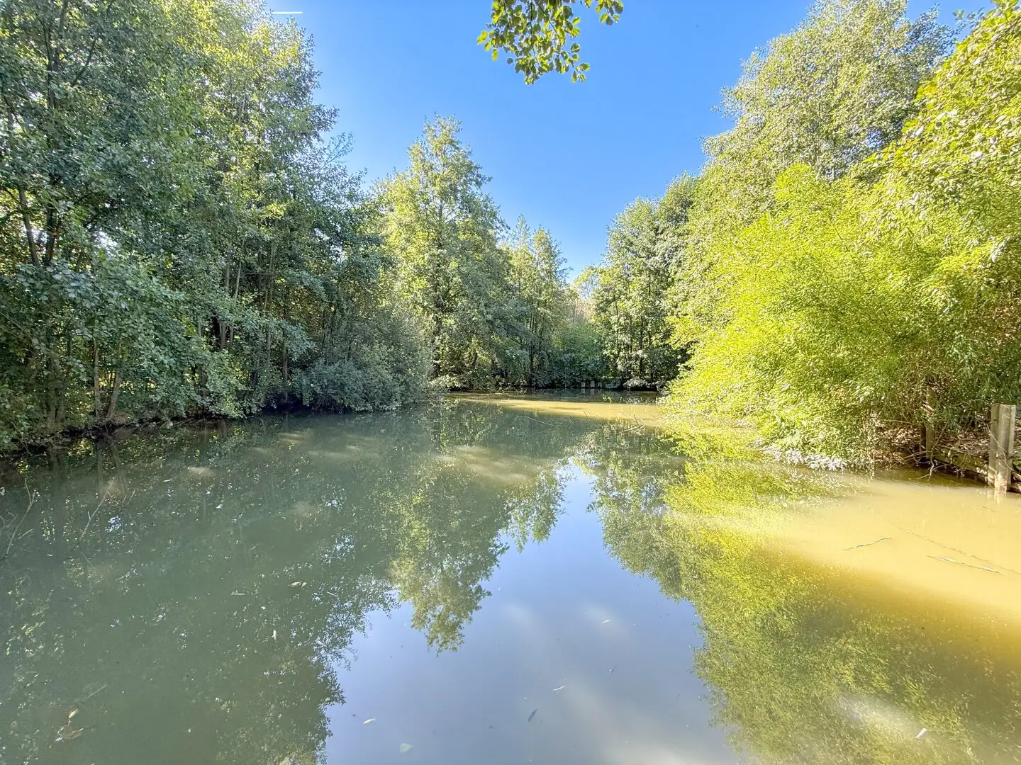 Attention fish enthusiasts, fish pond in central location / Thalheim bei Wels