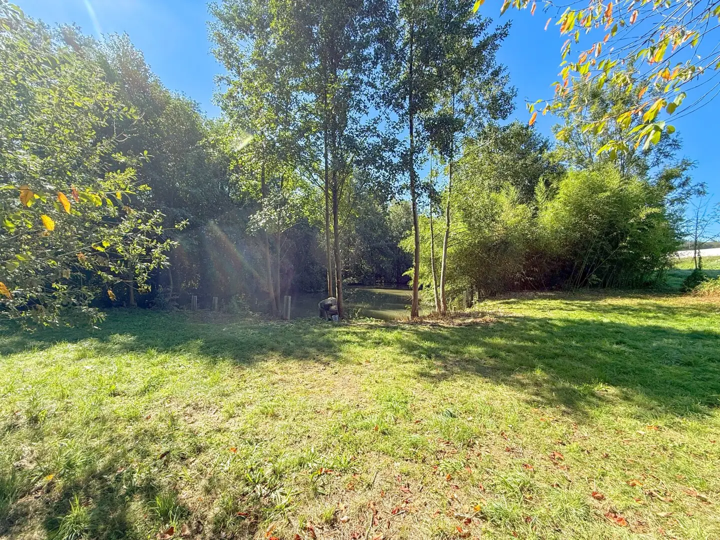 Attention fish enthusiasts, fish pond in central location / Thalheim bei Wels