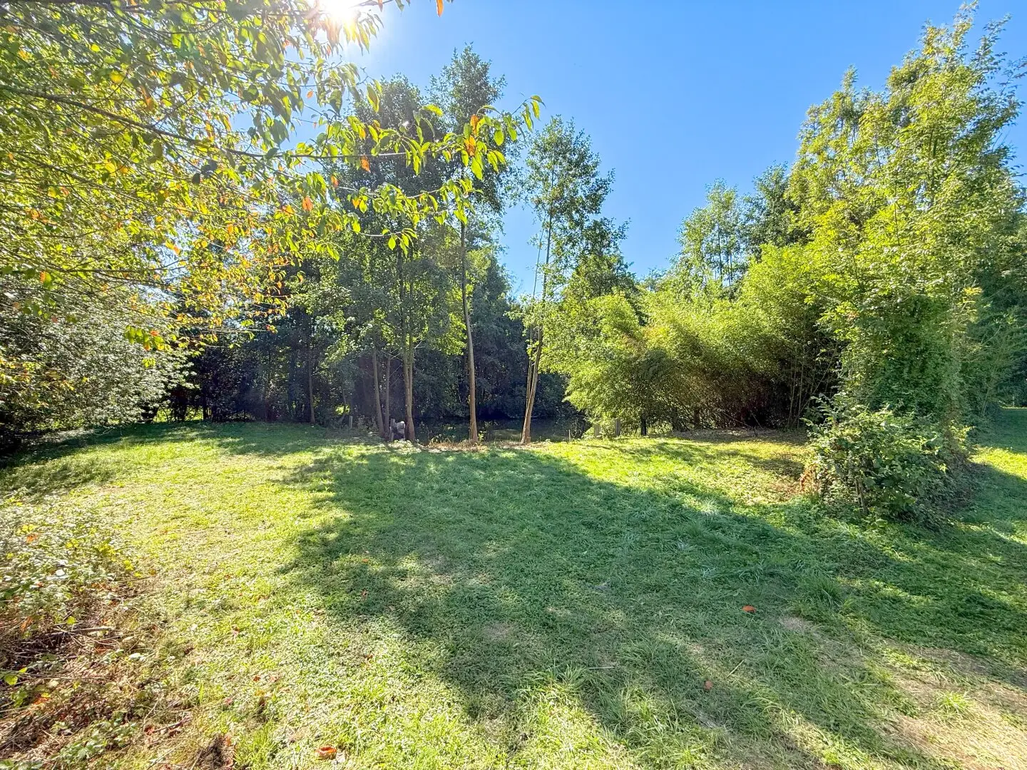 Attention fish enthusiasts, fish pond in central location / Thalheim bei Wels