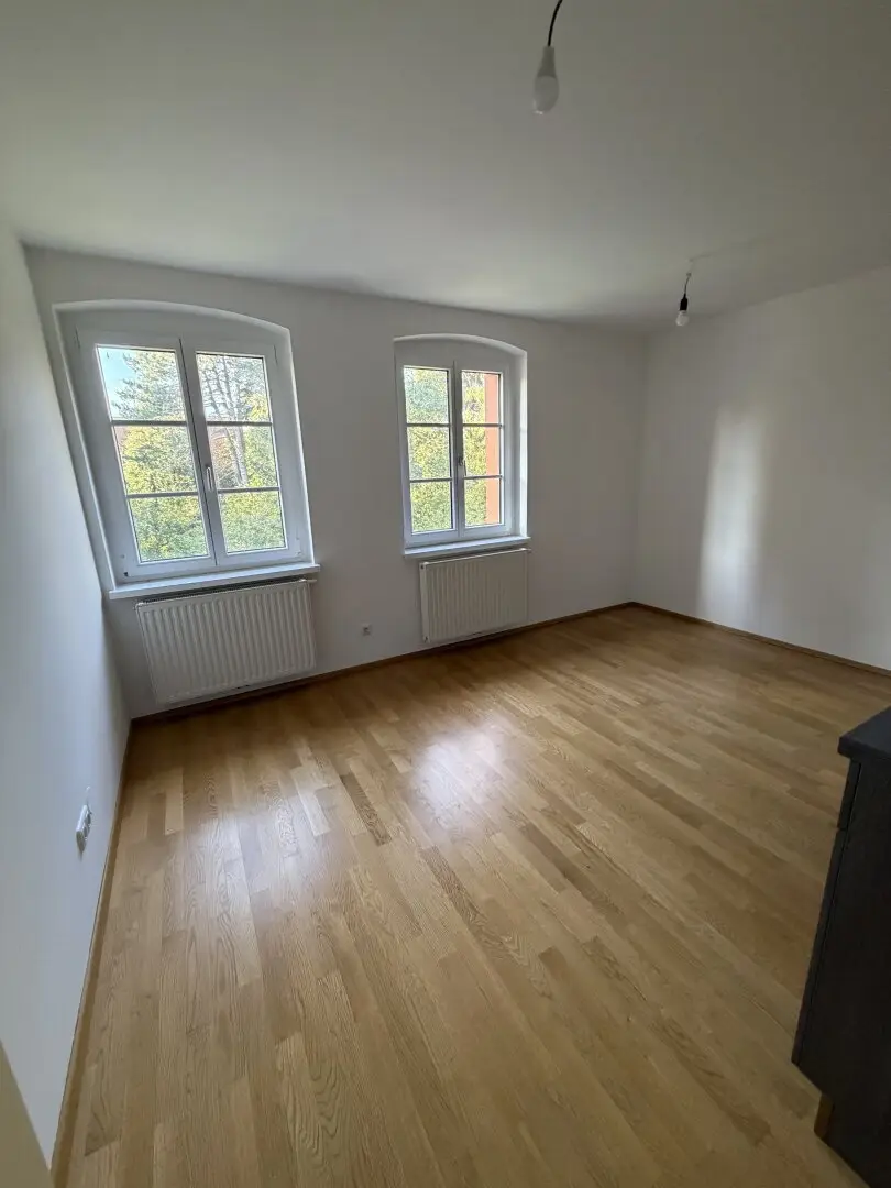 2 room apartment with balcony and communal garden at Römerberg