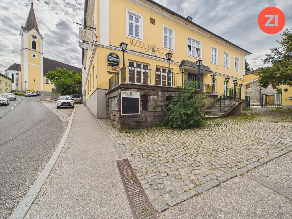 Wohnung mit großem Saal in zentraler Lage